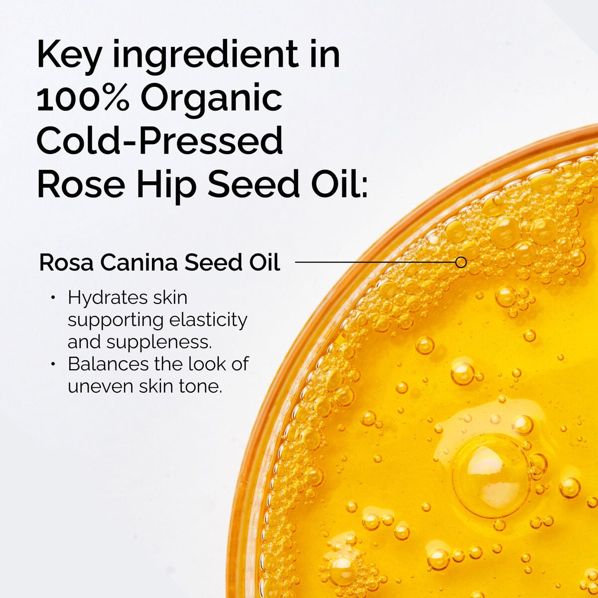 100-organic-cold-pressed-rose-hip-seed-oil-y2 FY25-D41247-ORD-Web-PDP-100-Rose-Hip-Oil-1x1-EN-2.jpg