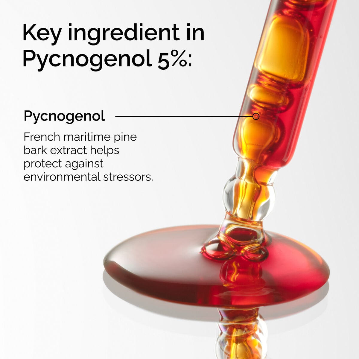 pycnogenol-5-j9 FY25-D41247-ORD-Web-PDP-Pyc-5pct-1x1-EN-2a.jpg