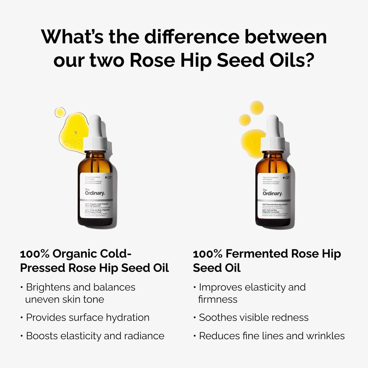 100-fermented-rose-hip-seed-oil-y0 fermented-rose-hip-vs-organic-rose-hip-graphic.jpg